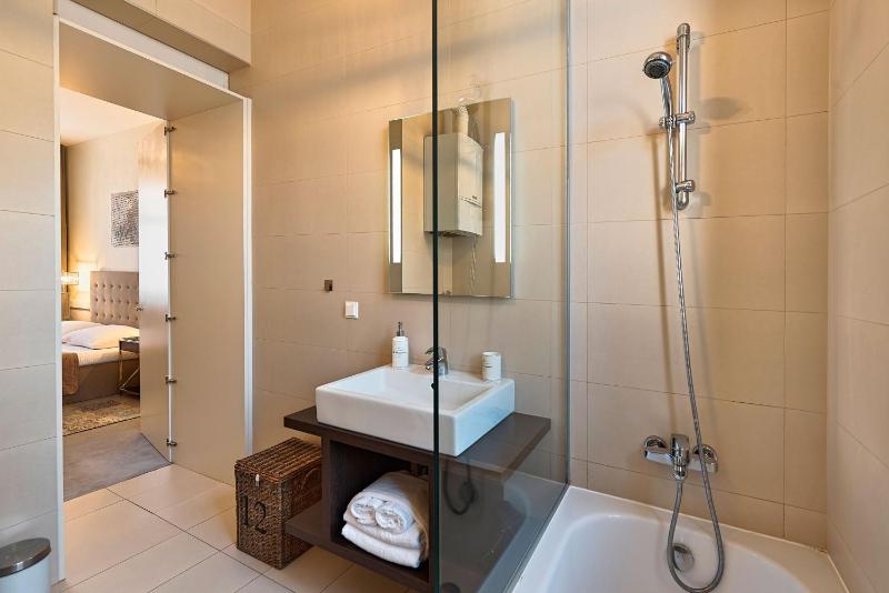 Large One-Bedroom Apartment image 2