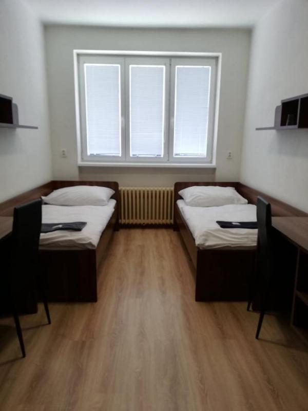 Standard Twin Room image 1