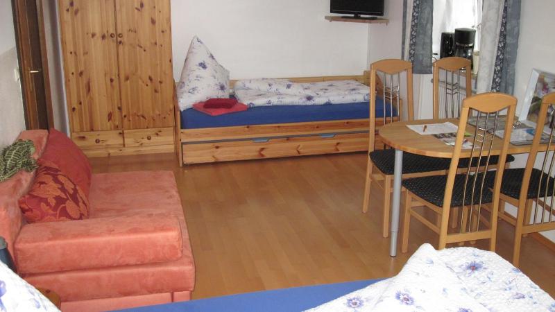 Studio with Terrace image 2