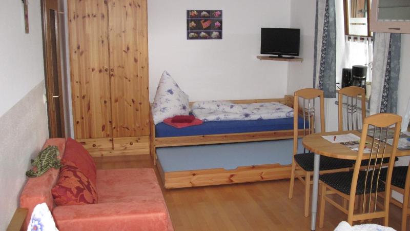 Studio with Terrace image 3