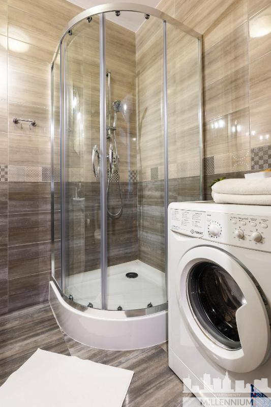 One-Bedroom Apartment image 2