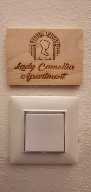 Lady Camollia Apartment - image 33