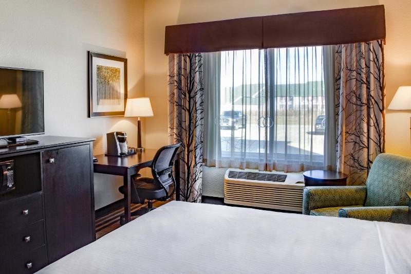 King Room with Roll-In Shower - Disability Access image 3
