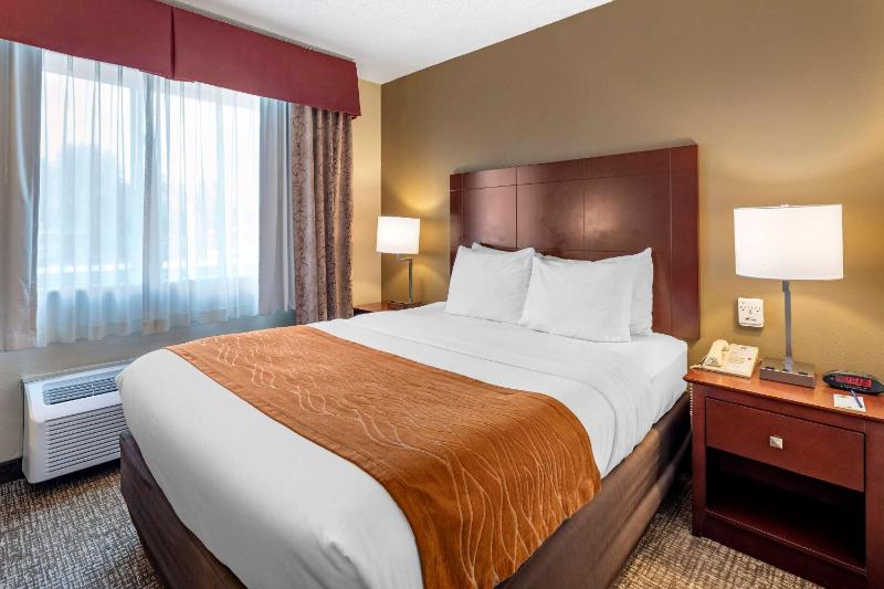 Queen Room with Roll-In Shower - Accessible/Non-Smoking image 4