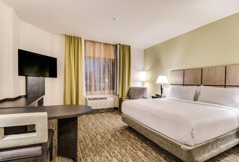 King Studio Suite image 1