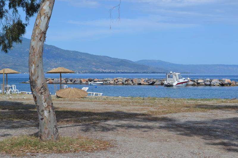 Filoxenia Hotel - image 11