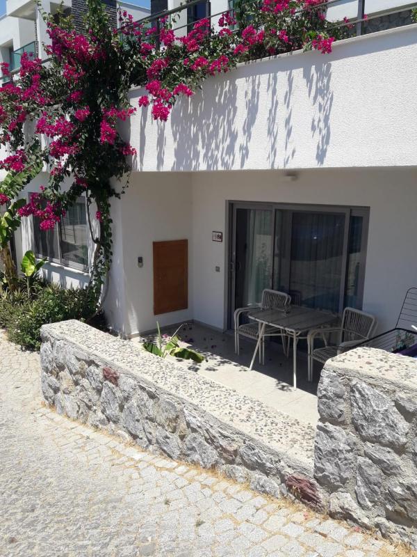 Comfort Apartment image 2