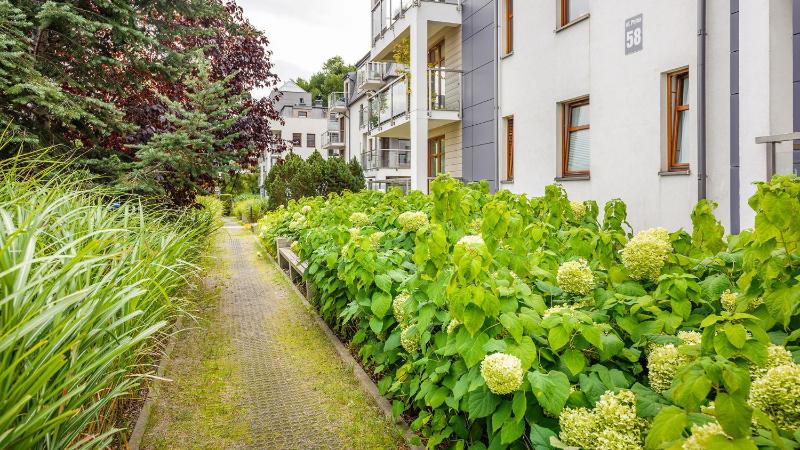 Apartament Solaris - Sopocka Przystań - image 10
