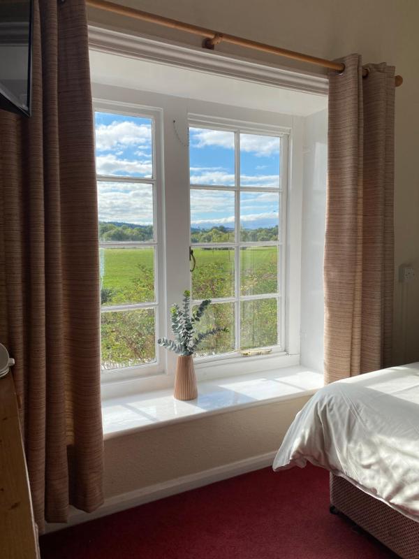 Double or Twin Room with Garden View image 2