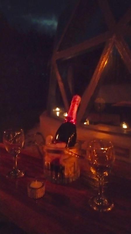 Eco Domo glamping - image 4