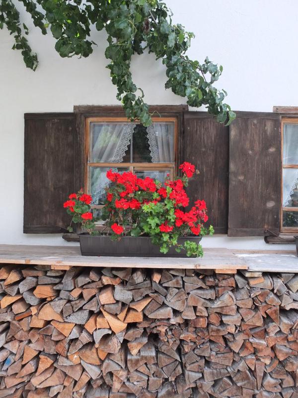 Holiday Home image 4