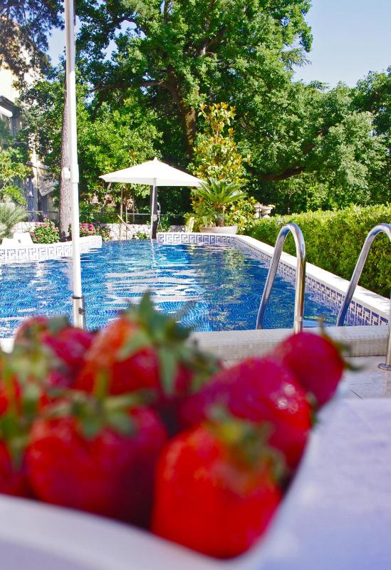 Guest House Villa Dagmar - image 8