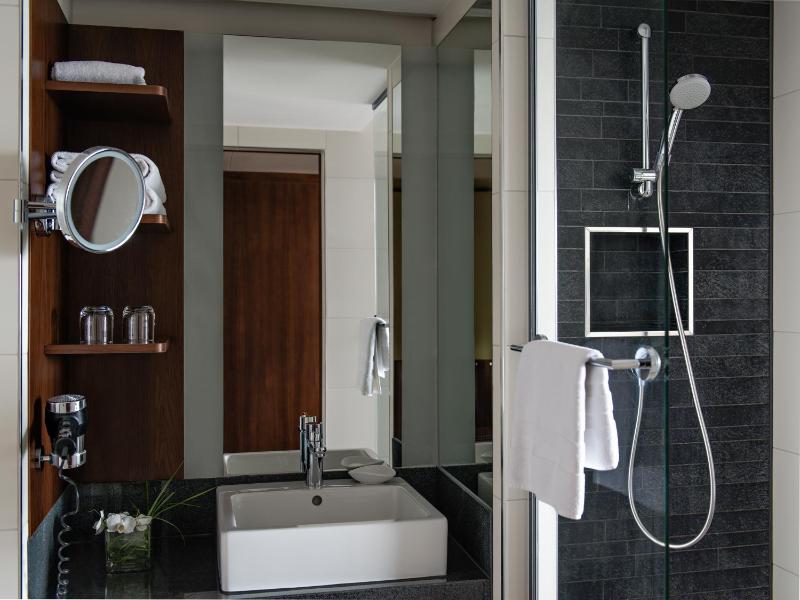 Deluxe King Suite image 3