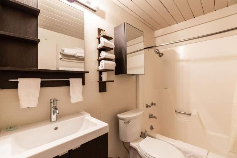 Studio Apartment image 3