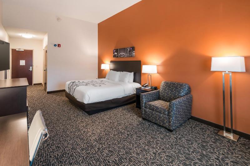 King Room - Non-Smoking image 4