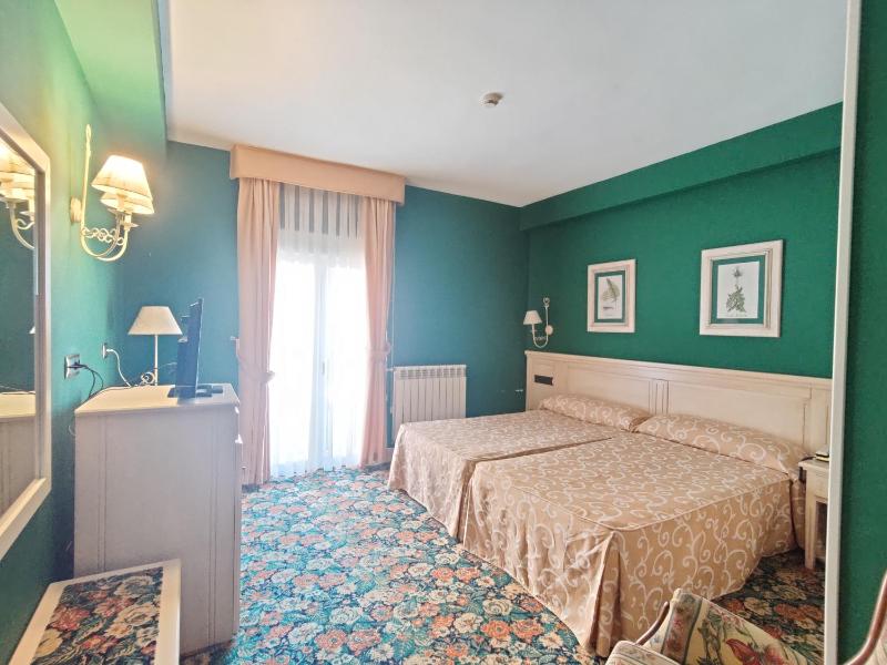 Double or Twin Room image 1