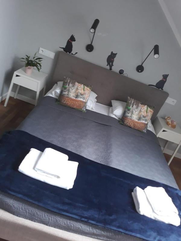 Apartamenty Koci Ogon - image 34