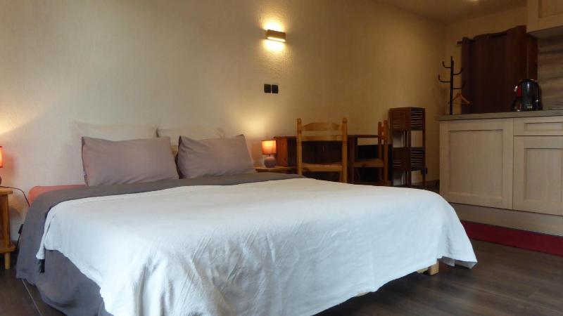 Les Pucines studio standing 29 m2 rez de jardin climatisation plein sud - image 11