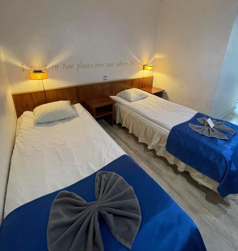 Double or Twin Room image 2