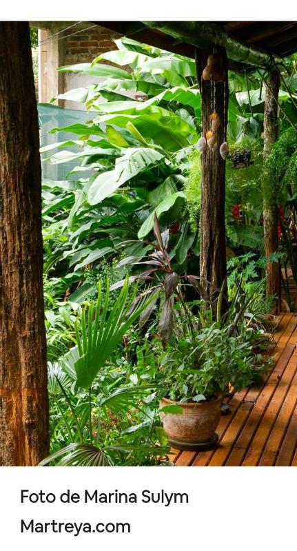 Jardín de Naipí 2 - image 19