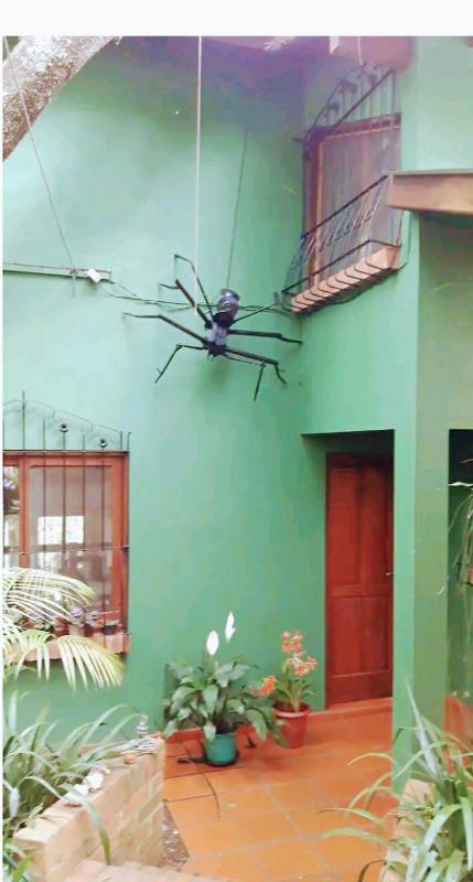 Jardín de Naipí - image 19