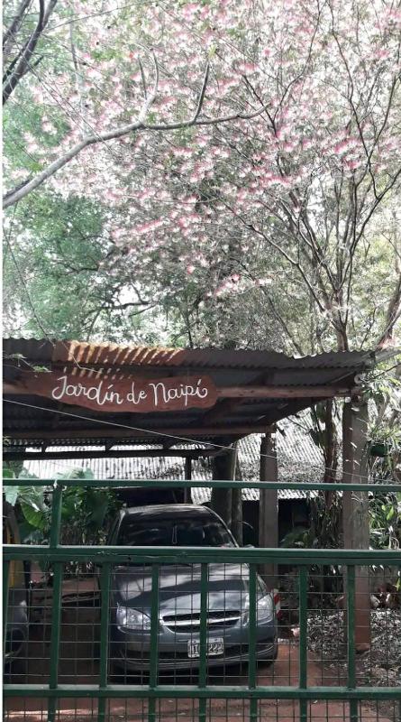 Jardín de Naipí 3 - image 16