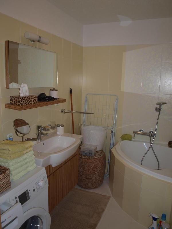 Apartmán Drahovice - image 3