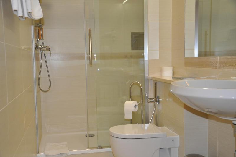 Business Double or Twin Room image 3