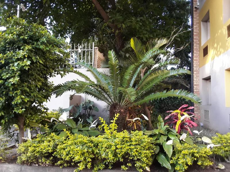 SUN1 Durban - image 12