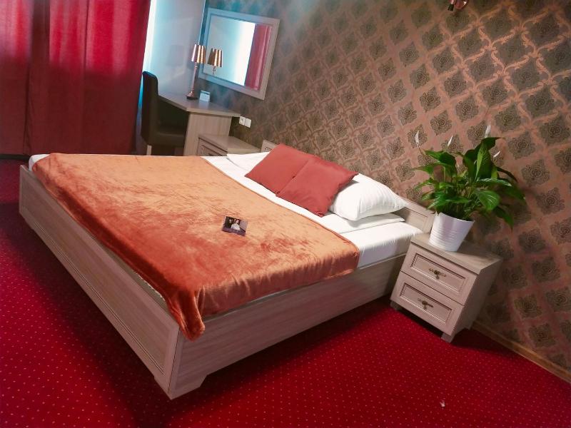 Deluxe Single Room image 3