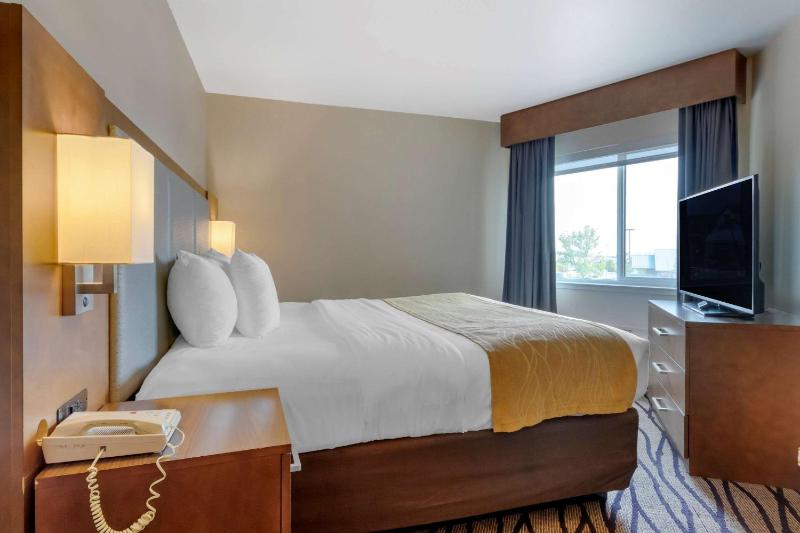 Buisiness King Suite - Non-Smoking image 3