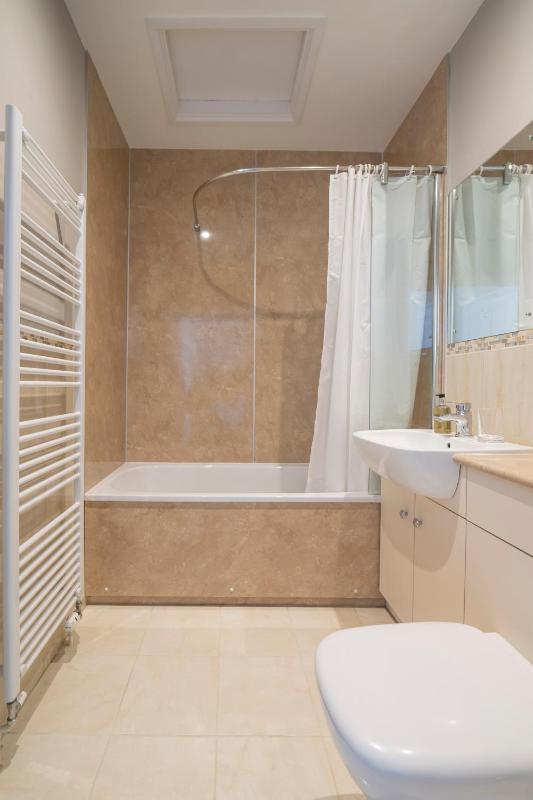 Two-Bedroom Apartment image 4