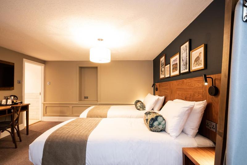 Standard Twin Room image 4