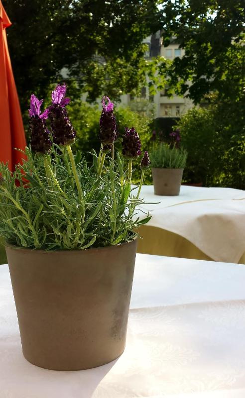 Hotel Mingarden - image 4