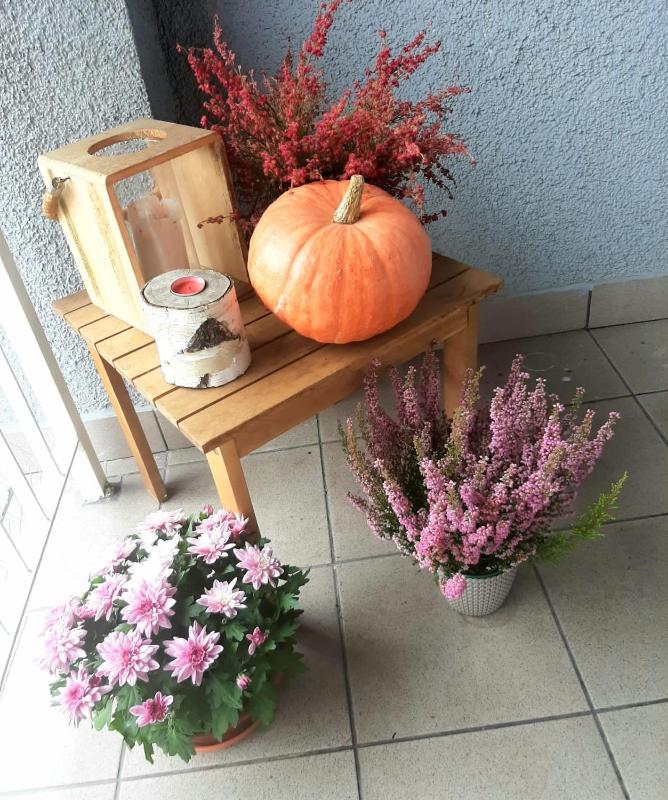 Apartamenty Koci Ogon - image 23
