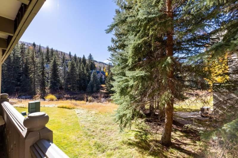 Two-Bedroom Apartment image 4