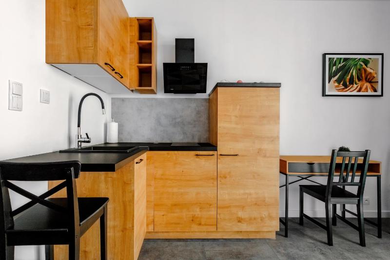 Studio Apartment image 4
