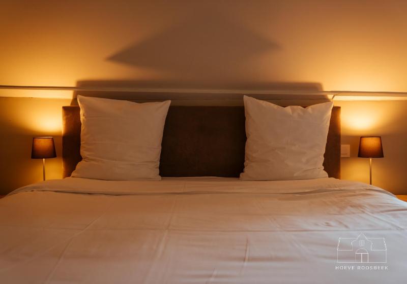 Superior Double Room image 4