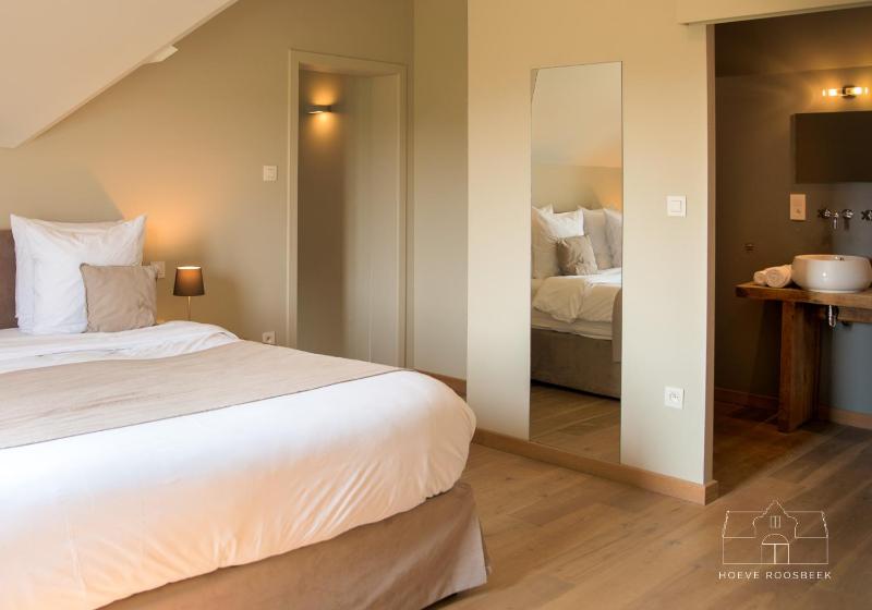 Deluxe Double Room image 1