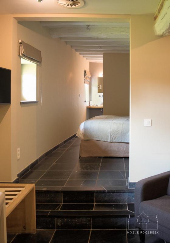 Deluxe Double Room image 4