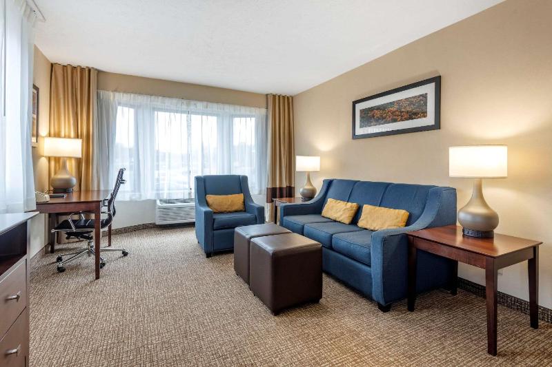 King Suite with Sofa Bed - Non-Smoking image 4