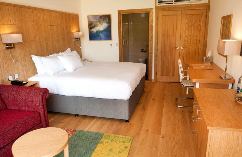Superior King Room with Private Patio image 3