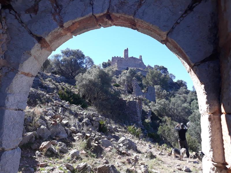 Four-Bedroom House image 3