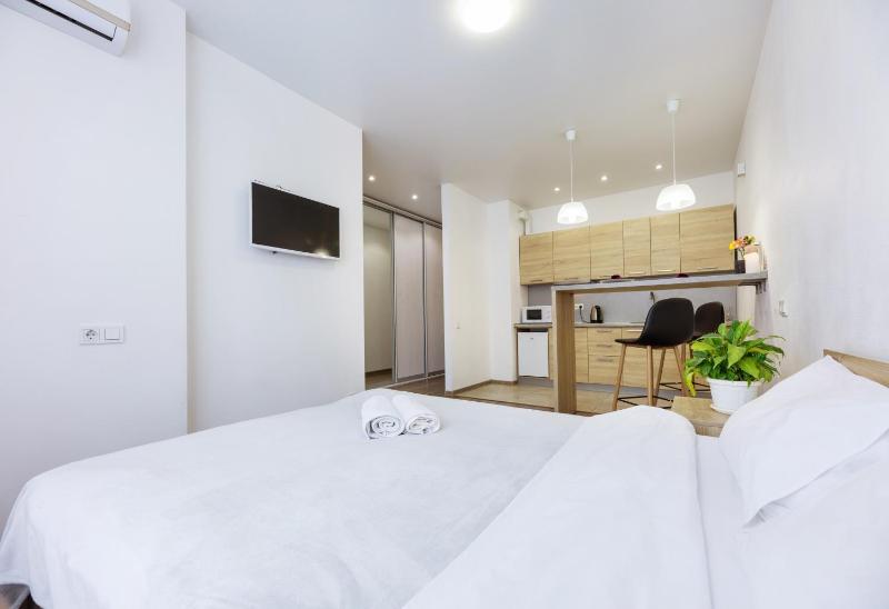 One-Bedroom Apartment image 1