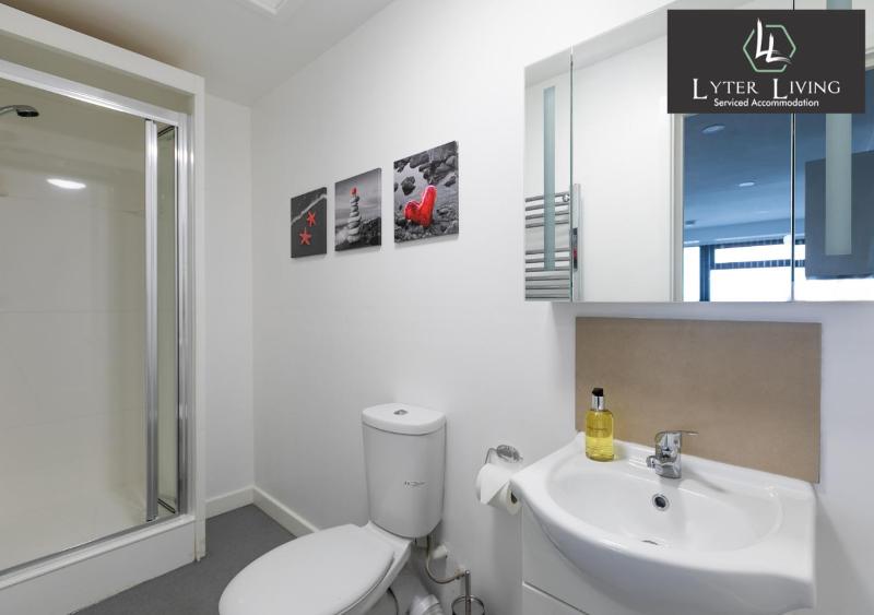 Studio Apartments by Lyter Living Desks & Wifi - Monthly Stays Available - image 50