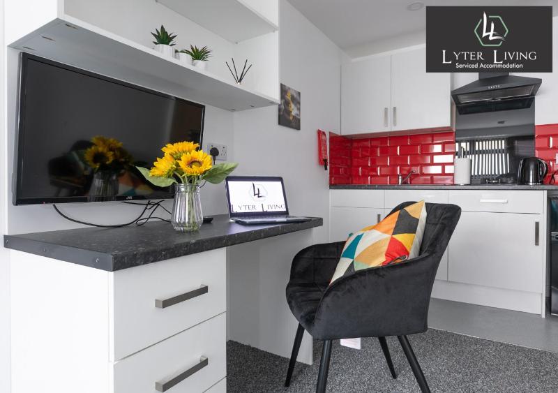 Studio Apartments by Lyter Living Desks & Wifi - Monthly Stays Available - image 23