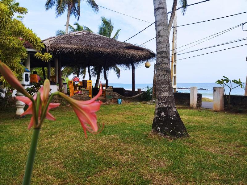 Sunchaser Beach Hotel - image 9