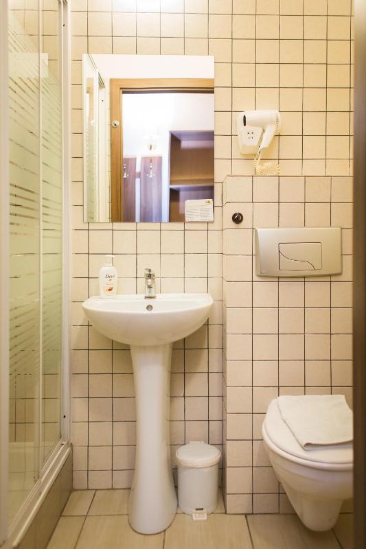 Budget Single Room image 4
