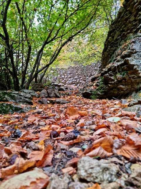 One-Bedroom Apartment image 2
