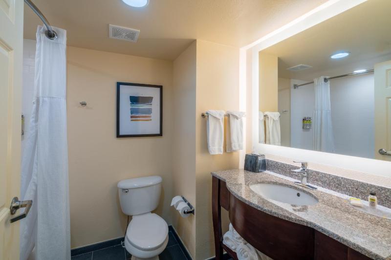 One-Bedroom King Suite image 4